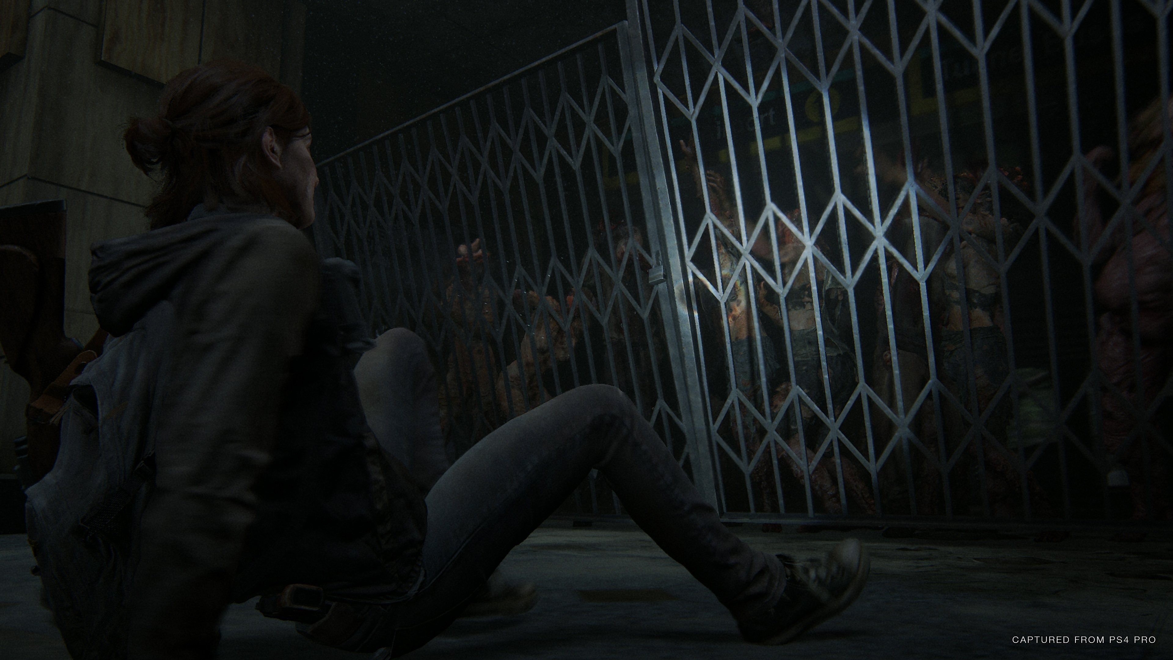 The Last of Us: Parte II - Imagen 35
